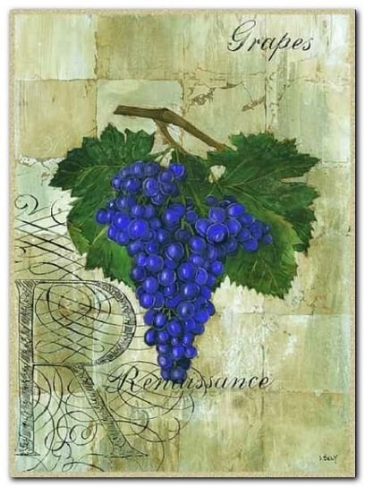 Renaissance Grapes Plakat Obraz 30X40Cm Wizard+Genius