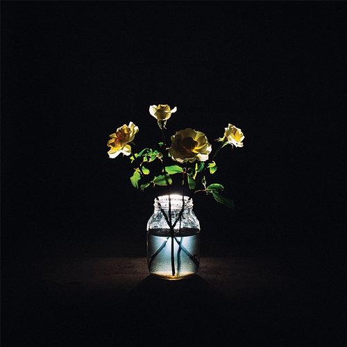 Renewal Billy Strings