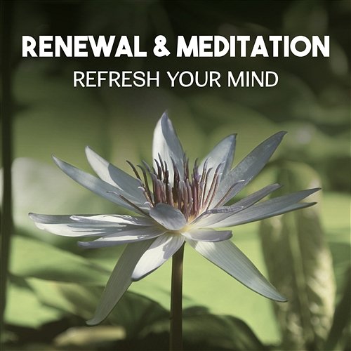 Renewal & Meditation – Refresh Your Mind, New Age Music for Mental Health, Heal Yourself by Soothing Sounds, Reach Inner Balance Spiritual Transformation Music Academy