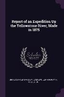 Report of an Expedition Up the Yellowstone River, Made in 1875 States War Dept James William Forsyth
