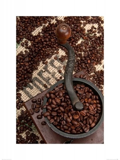 Reprodukcja NICE WALL Coffee Beans and Grinder, 60x80 cm Nice Wall