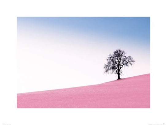 Reprodukcja NICE WALL Pink Meadow, 80x60 cm Nice Wall