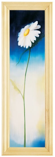 Reprodukcja obrazu w drewnianej ramie o wymiarach 10x35 cm - Rumianek, Anna Korecka POSTERGALERIA