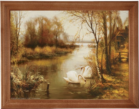 Reprodukcja obrazu w drewnianej ramie o wymiarach 18x24 cm - Łabędzie, Zygmunt Konarski POSTERGALERIA