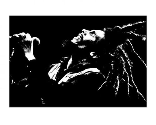 Reprodukcja PYRAMID POSTERS Bob Marley (BW), 40x50 cm Pyramid Posters