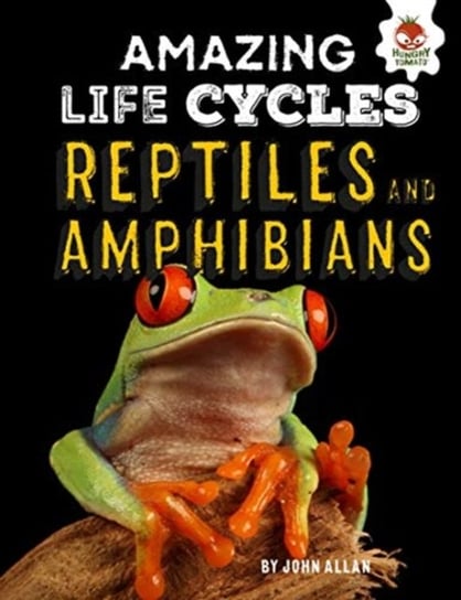 Reptiles and Amphibians - Amazing Life Cycles John Allan