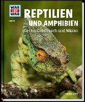 Reptilien und Amphibien. Gecko, Grasfrosch und Waran Rigos Alexandra