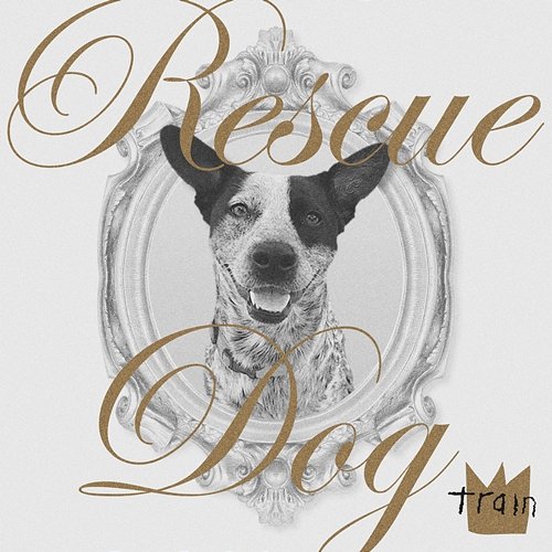 Rescue Dog Train