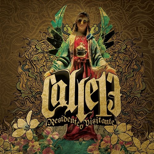 Residente o Visitante Calle 13