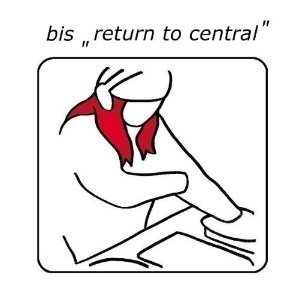 Return to Central BIS