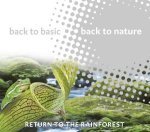 Return to the Rainforest Various Artists