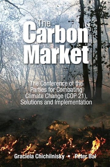 Reversing Climate Change: How Carbon Removals Can Resolve Climate Change and Fix the Economy Chichilnisky Graciela