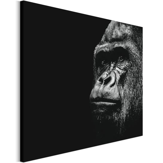 Revolio 105x70 cm Obraz na płótnie Zwierzęta na czarnym Revolio