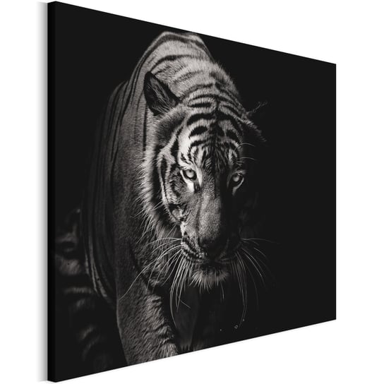 Revolio 120x80 cm Obraz na płótnie Zwierzęta na czarnym Revolio