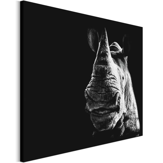 Revolio 120x80 cm Obraz na płótnie Zwierzęta na czarnym Revolio