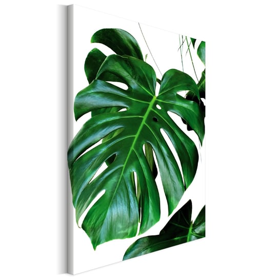 Revolio 40X60 Cm Obraz Na Płótnie Monstera Revolio