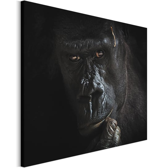 Revolio 45x30 cm Obraz na płótnie Zwierzęta na czarnym Revolio
