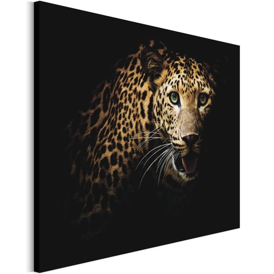 Revolio 60x40 cm Obraz na płótnie Zwierzęta na czarnym Revolio