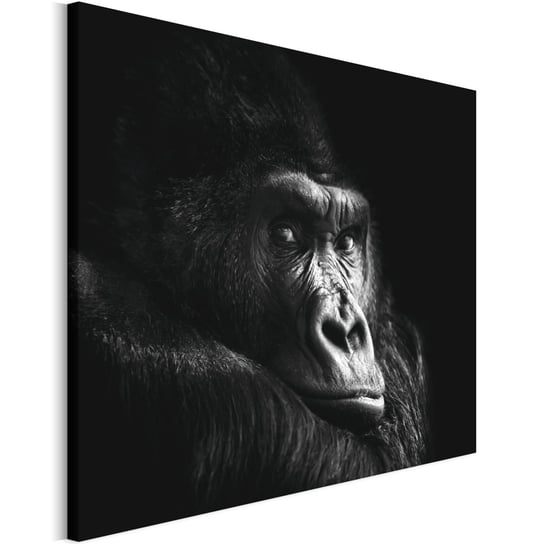 Revolio 75x50 cm Obraz na płótnie Zwierzęta na czarnym Revolio