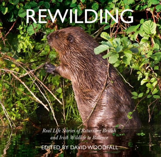 Rewilding: Real Life Stories of Returning British and Irish Wildlife to Balance David Woodfall