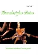 Rhacodactylus ciliatus Sae Lee