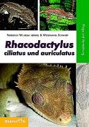 Rhacodactylus ciliatus und auriculatus Henkel Friedrich-Wilhelm, Schmidt Wolfgang