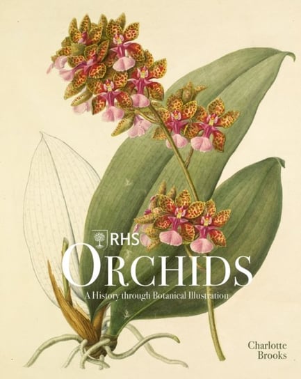 RHS Orchids Charlotte Brooks