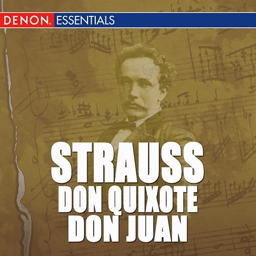 Richard Strauss: Don Quixote - Don Juan Various Artists