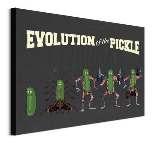 Rick and Morty Evolution Of The Pickle - obraz na płótnie RICK AND MORTY
