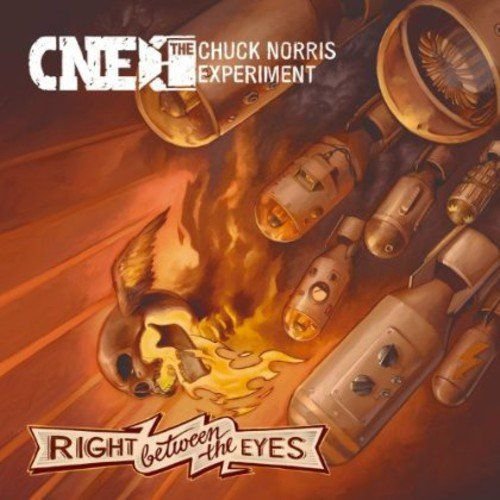 Right Between Your Eyes Chuck Norris Experiment