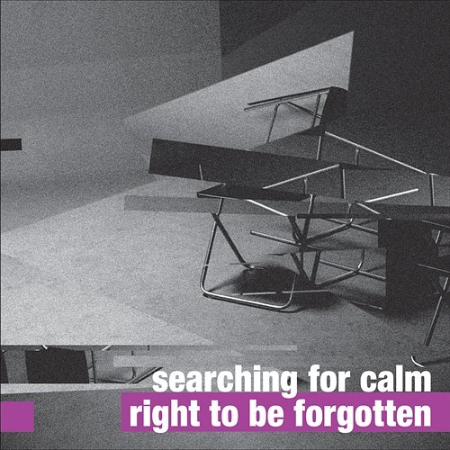 Right to Be Forgotten Searching For Calm