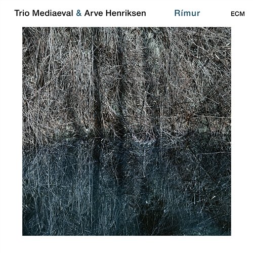 Rímur Trio Mediaeval, Arve Henriksen