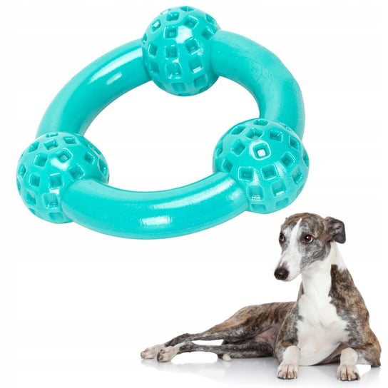 RINGO dla psa zabawka gumowa ring dla szczeniaka lana guma z piłkami WesołyPupil