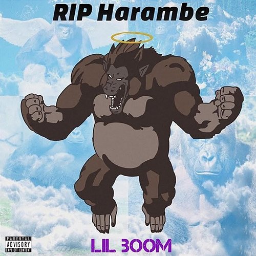 Rip Harambe Lil Boom