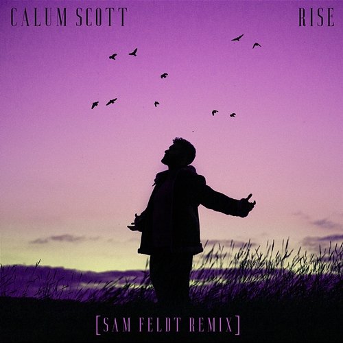 Rise Calum Scott, Sam Feldt