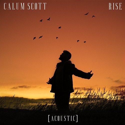 Rise Calum Scott