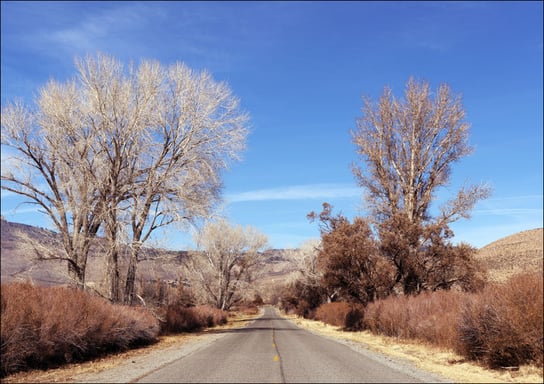 Road in California., Carol Highsmith - plakat 80x60 cm Galeria Plakatu