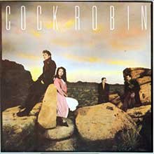 Robin Cook Cock Robin