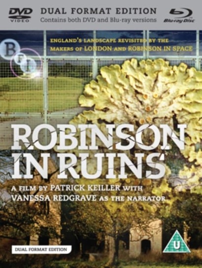 Robinson in Ruins (brak polskiej wersji językowej) Keiller Patrick