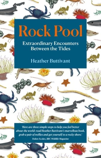 Rock Pool: Extraordinary Encounters Between the Tides: A Life -Long Fascination told in Twenty-Four Heather Buttivant