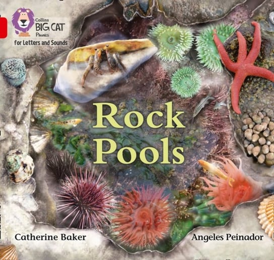 Rock Pools Catherine Baker