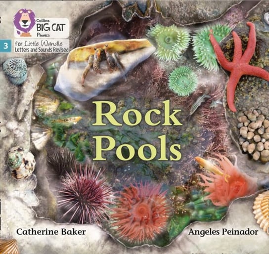 Rock Pools. Phase 3 Catherine Baker