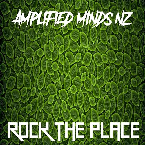 Rock the Place Amplified Minds NZ