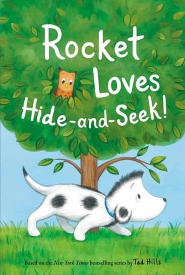 Rocket Loves Hide-and-Seek! Tad Hills