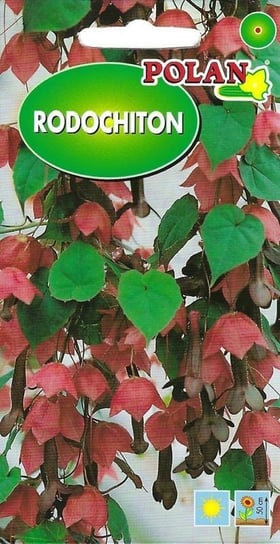 Rodochiton purpurowy 5z POLAN Inna marka