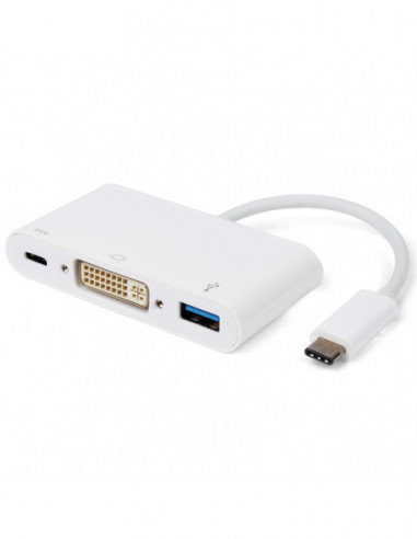 ROLINE Adapter Typu C - DVI, M/F, 1x USB 3.2 Gen 1 A F, 1x PD (Power Delivery) Roline