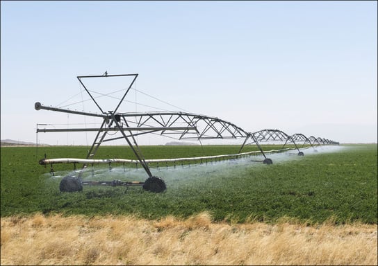 Rolling irrigation sprinkler at work along the road carrying U.S. Highways 62-180 near the New Mexico border in Hudspeth County, Texas. , Carol Highsmith - plakat 40x30 cm Galeria Plakatu