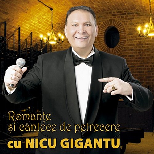 Romanțe și cântece de petrecere cu Nicu Gigantu Nicu Gigantu