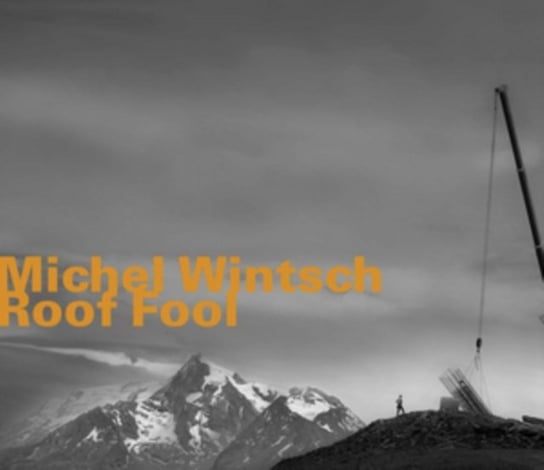Roof Fool Michel Wintsch