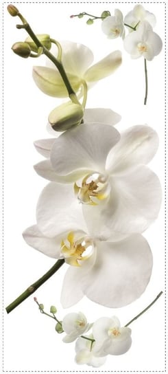 RoomMates, Biała orchidea, Naklejka ścienna wielokrotnego użytku RoomMates
